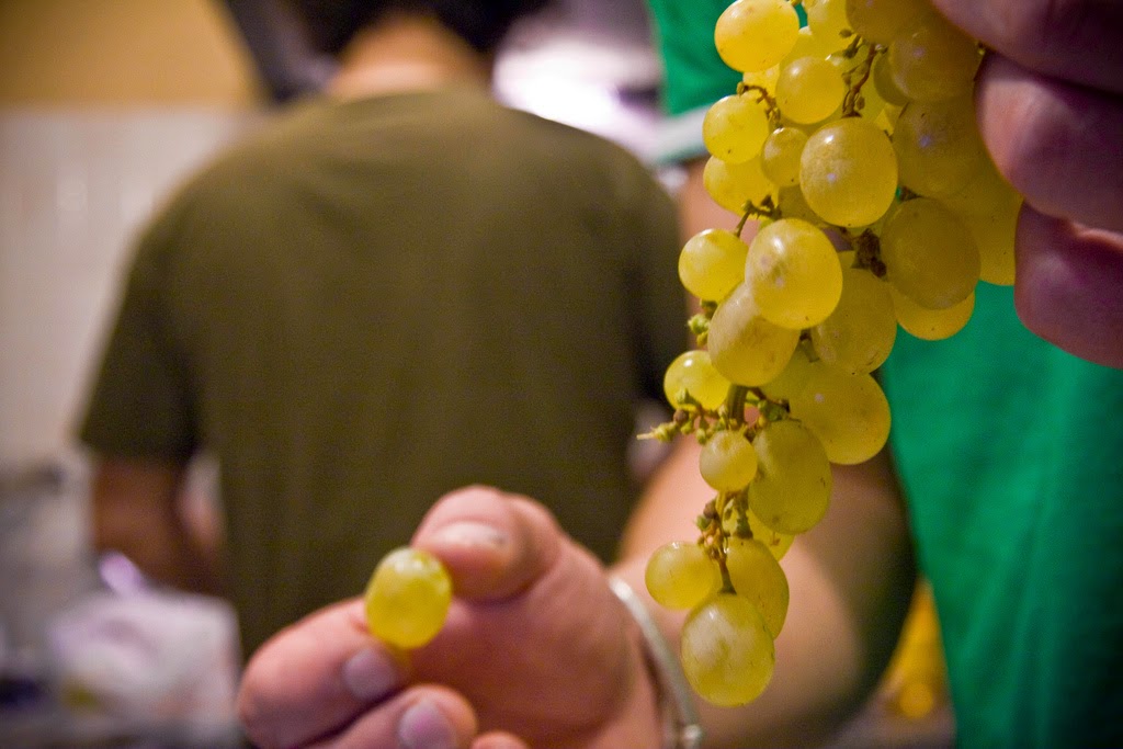 Spaniards celebrate the new year by eating twelve grapes, one for ever ring of the bell at midnight.