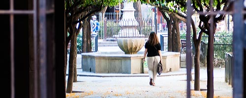 A view of a hidden courtyard during a private Barcelona day tour.